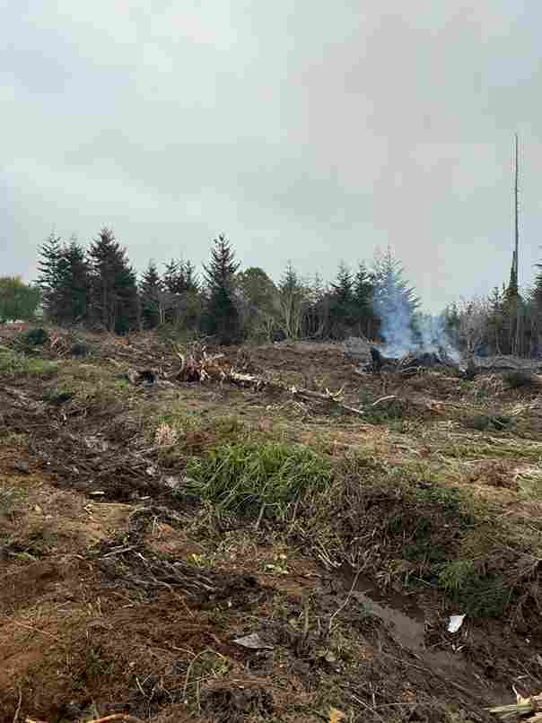 Coos Bay Home Build Pad & Site Prep - Building Pads & Site Prep project in Coos Bay, Oregon (photo 2)