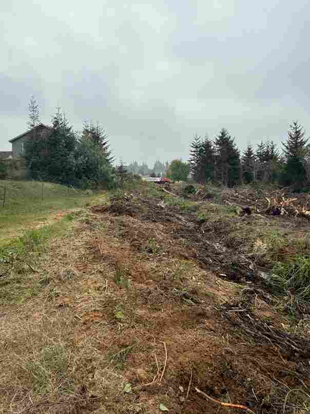 Coos Bay Home Site Prep - Site Prep project in Coos Bay, Oregon (photo 3)